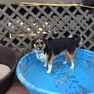 Meet your Posher, Shawn